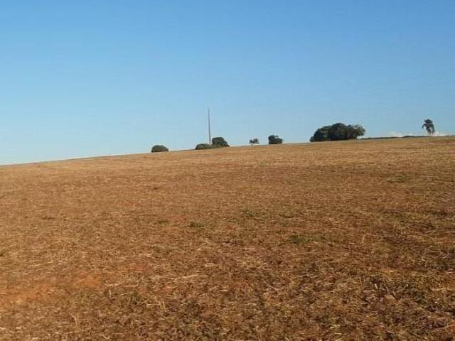 Sítio e chácara venda em Região Geográfica Imediata de Alfenas, Alfenas
