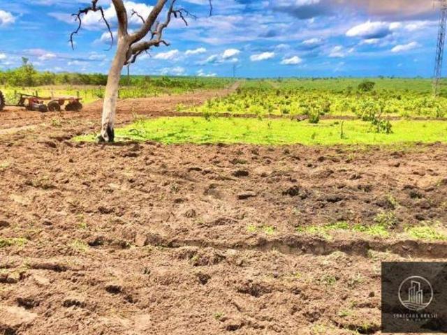 Sítio e chácara venda em Região Geográfica Imediata de Rondonópolis, Alto Araguaia