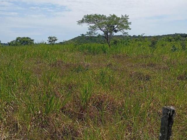 Sítio e chácara venda em Alto Garças, Região Geográfica Intermediária de Rondonópolis