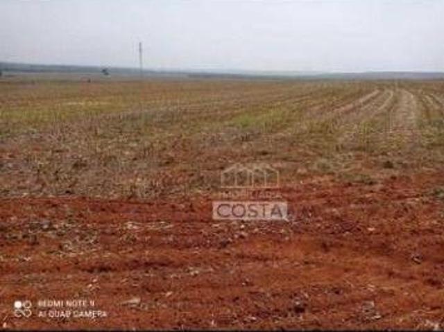 Sítio e chácara venda em Região Geográfica Imediata de Umuarama, Região Metropolitana de Umuarama