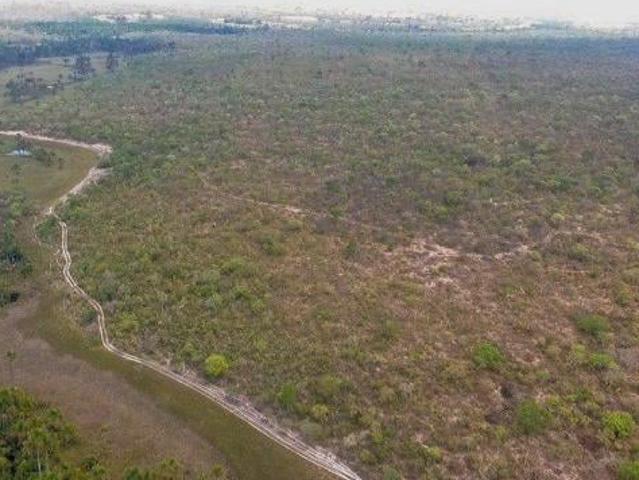 Sítio e chácara venda em Região Geográfica Imediata de Posse-Campos Belos, Alvorada do Norte