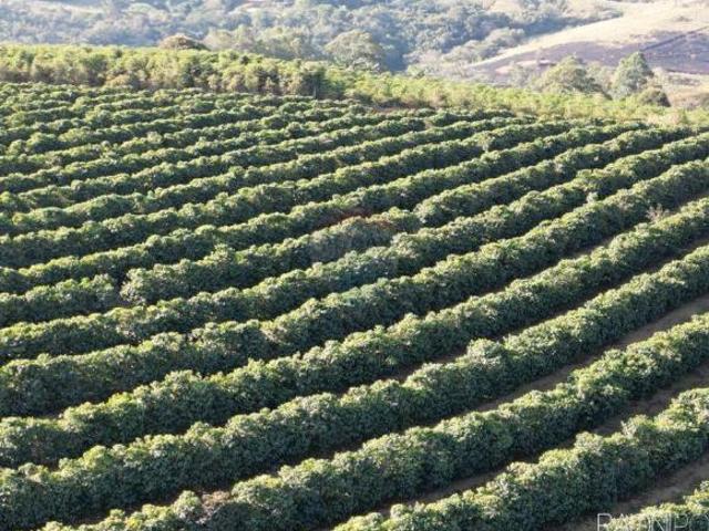 Sítio e chácara venda em Região Geográfica Imediata de Poços de Caldas, Andradas
