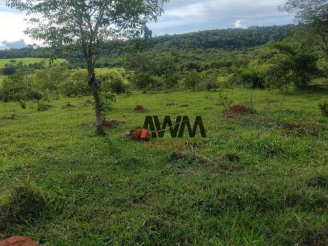 Sítio e chácara venda em Região Geográfica Imediata de Inhumas - Itaberaí - Anicuns, Anicuns