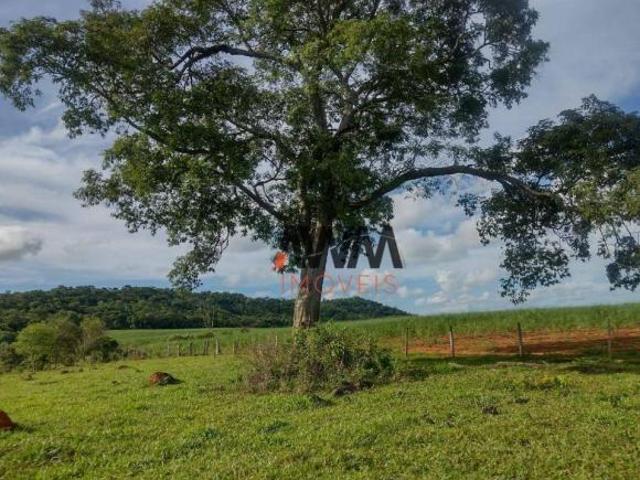 Sítio e chácara venda em Região Geográfica Imediata de Inhumas - Itaberaí - Anicuns, Anicuns
