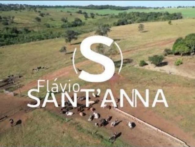 Sítio e chácara venda em Região Geográfica Imediata de Paranaíba - Chapadão do Sul - Cassilândia, Aparecida do Taboado