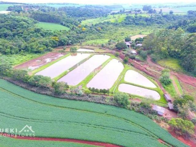 Sítio e chácara venda em Região Geográfica Imediata de Apucarana, Apucarana
