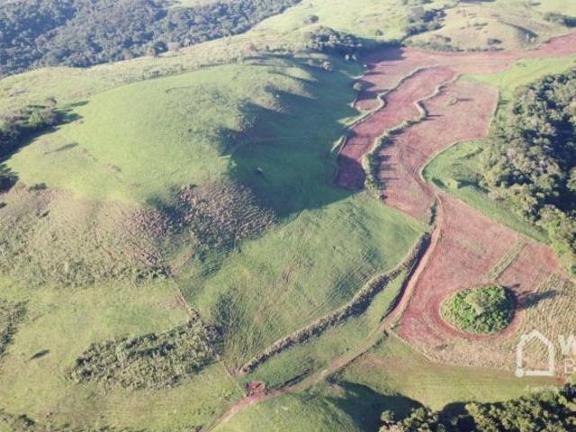 Sítio e chácara venda em Região Geográfica Imediata de Apucarana, Apucarana