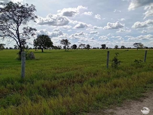 Sítio e chácara venda em Região Geográfica Imediata de Barra do Garças, Araguaiana
