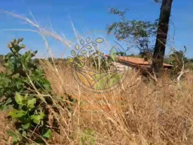 Sítio e chácara venda em Região Geográfica Imediata de Barra do Garças, Araguaiana