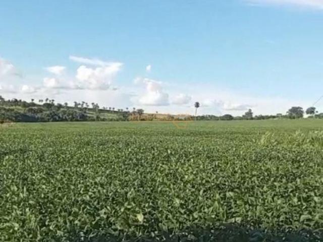 Sítio e chácara venda em Centro, Araguari