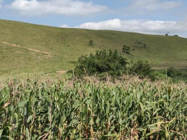 Sítio e chácara venda em Região Imediata de Cruzeiro, Região Metropolitana do Vale do Paraíba e Litoral Norte