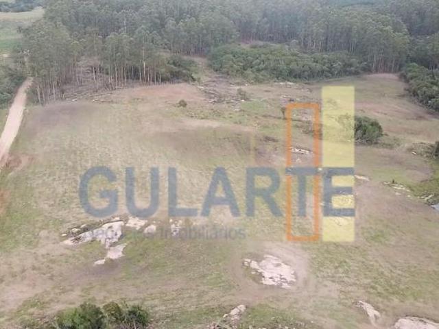 Sítio e chácara venda em Região Geográfica Imediata de Porto Alegre, Região Metropolitana de Porto Alegre