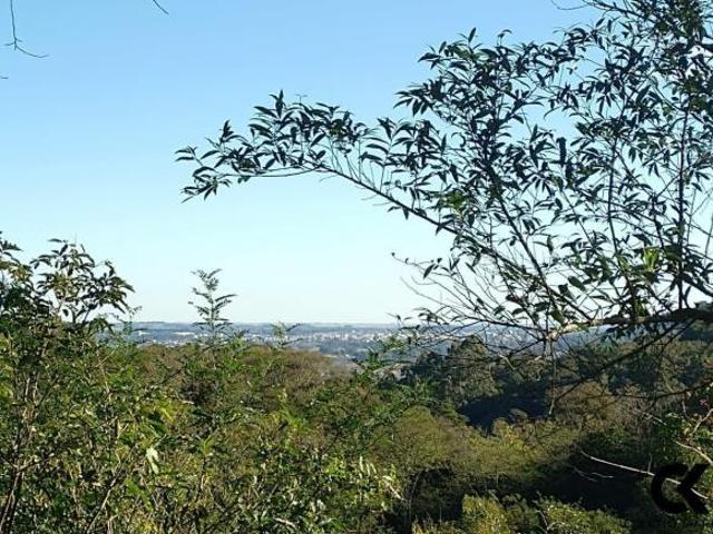 Sítio e chácara venda em Região Geográfica Imediata de Pelotas, Santa Vitória do Palmar