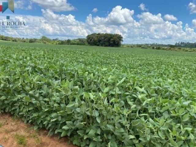 Sítio e chácara venda em Região Imediata de Avaré, Avaré