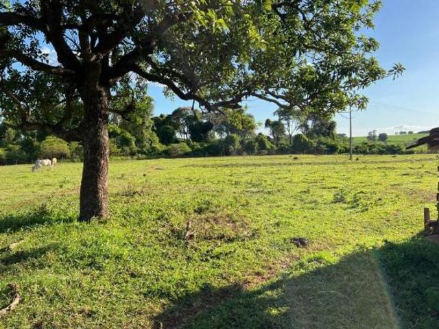 Sítio e chácara venda em Região Imediata de São José do Rio Preto, Região Metropolitana de São José do Rio Preto