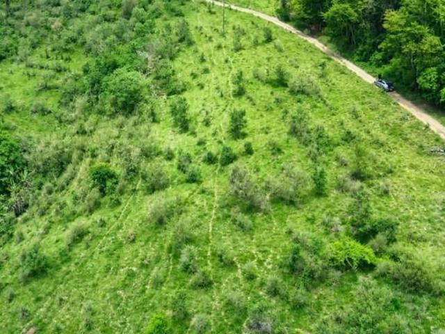 Sítio e chácara venda em Baependi, Região Geográfica Intermediária de Pouso Alegre