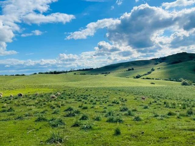 Sítio e chácara venda em Região Geográfica Imediata de Bagé, Bagé