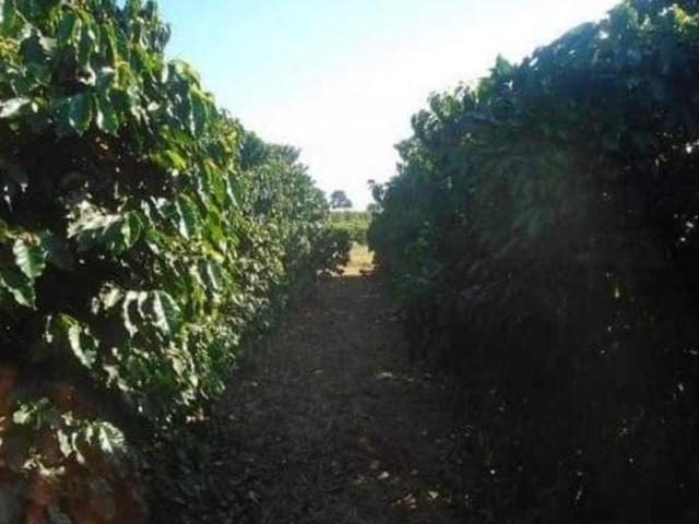 Sítio e chácara venda em Região Geográfica Imediata de Formiga, Bambuí