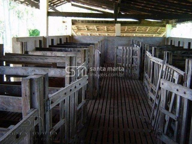 Sítio e chácara venda em Região Imediata de Cruzeiro, Região Metropolitana do Vale do Paraíba e Litoral Norte