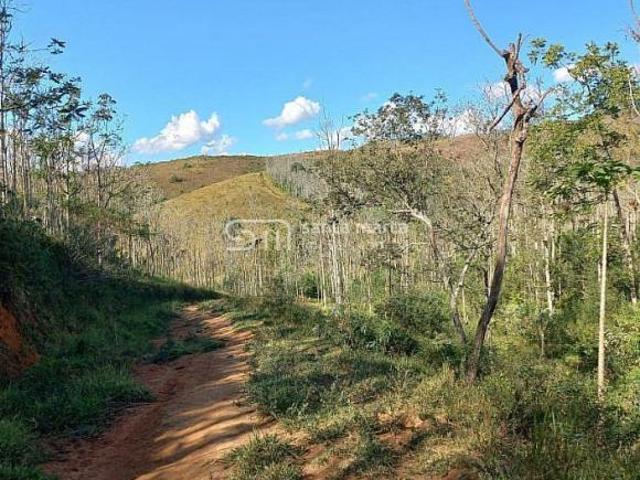 Sítio e chácara venda em Região Imediata de Cruzeiro, Região Metropolitana do Vale do Paraíba e Litoral Norte