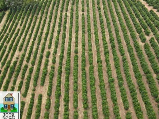 Sítio e chácara venda em Região Geográfica Imediata de Poços de Caldas, Bandeira do Sul