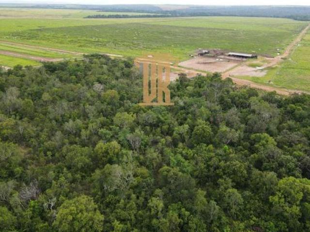 Sítio e chácara venda em Barra do Garças, Região Geográfica Intermediária de Barra do Garças