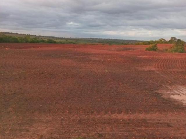 Sítio e chácara venda em Região Geográfica Imediata de Barra do Garças, Barra do Garças