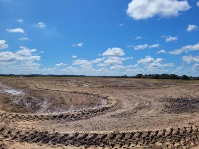 Sítio e chácara venda em Região Geográfica Imediata de Porto Alegre, Barra do Ribeiro