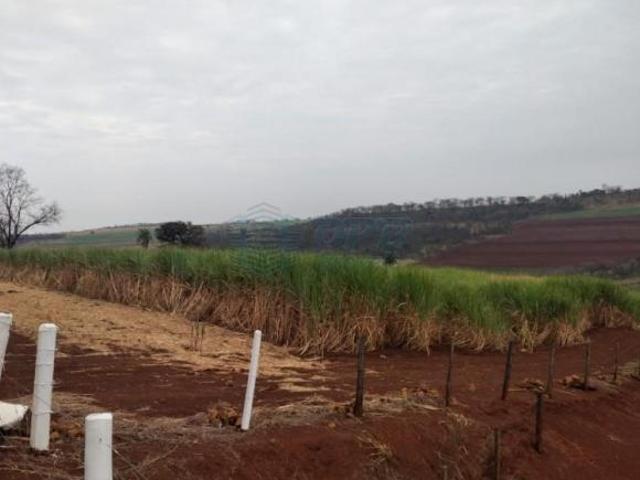 Sítio e chácara venda em Região Imediata de Ribeirão Preto, Região Metropolitana de Ribeirão Preto
