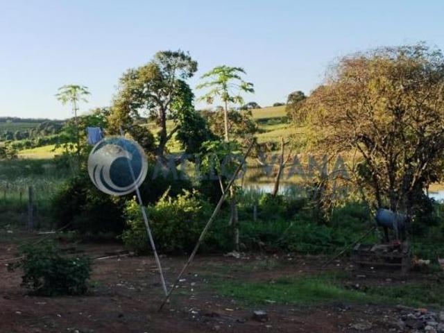 Sítio e chácara venda em Carangola, Região Sudeste