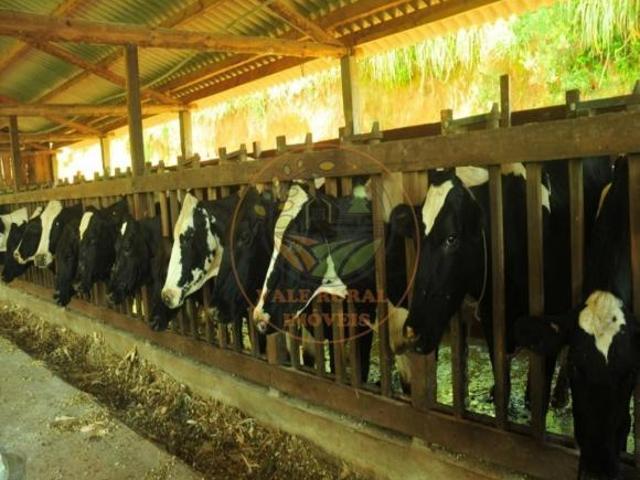 Sítio e chácara venda em Região Geográfica Imediata de Juiz de Fora, Bocaina de Minas