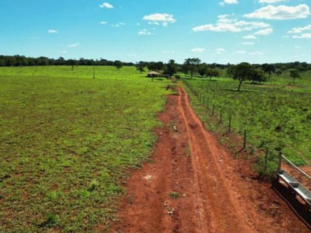 Sítio e chácara venda em Região Geográfica Imediata de Montes Claros, Bocaiúva