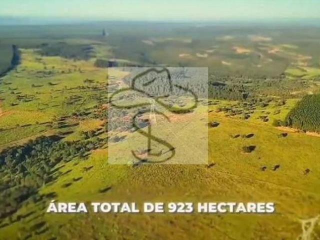 Sítio e chácara venda em Bonfim, Bocaiuva