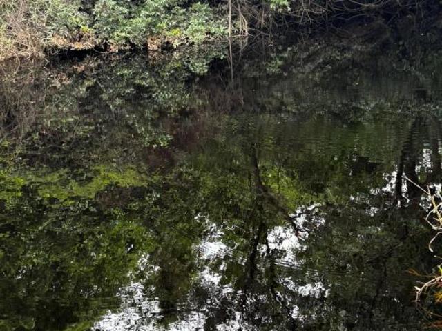 Sítio e chácara venda em Região Geográfica Imediata de Belo Horizonte, Região Metropolitana de Belo Horizonte