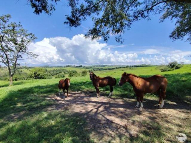 Sítio e chácara venda em Região Imediata de Botucatu, Bofete