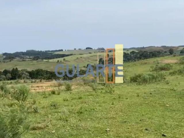 Sítio e chácara venda em Região Geográfica Imediata de Vacaria, Bom Jesus