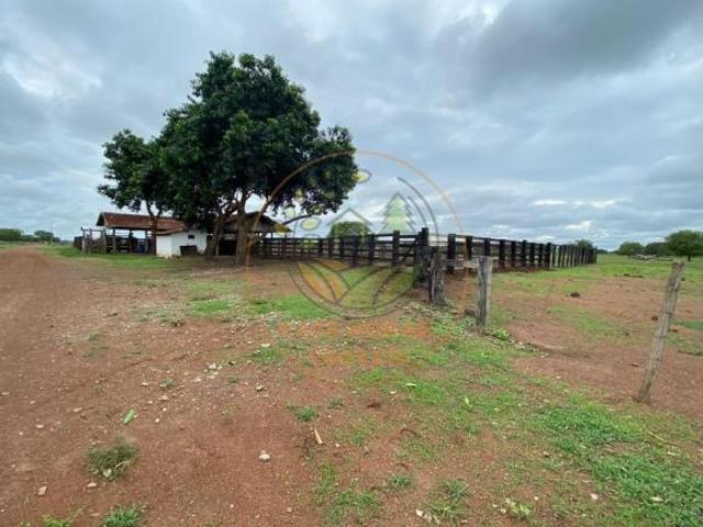 Sítio e chácara venda em Região Geográfica Imediata de Confresa - Vila Rica, Bom Jesus do Araguaia