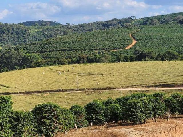 Sítio e chácara venda em Bom Sucesso, Região Geográfica Intermediária de Varginha