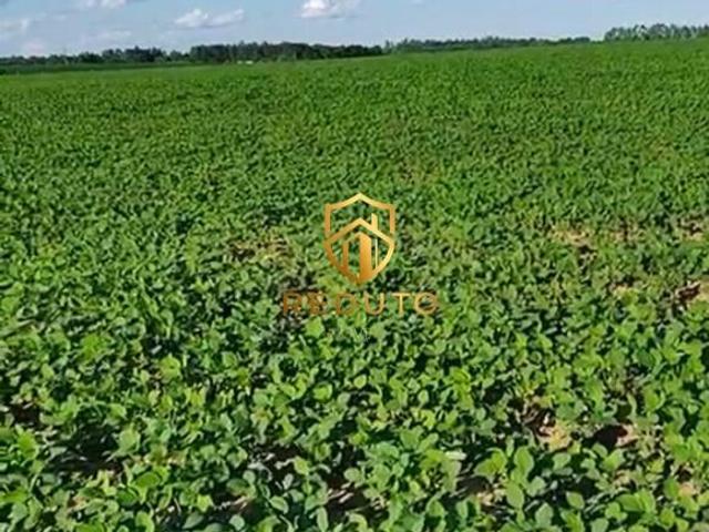 Sítio e chácara venda em Bom Sucesso, Região Geográfica Intermediária de Varginha
