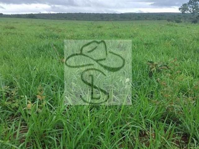 Sítio e chácara venda em Região Geográfica Imediata de Januária, Bonito de Minas