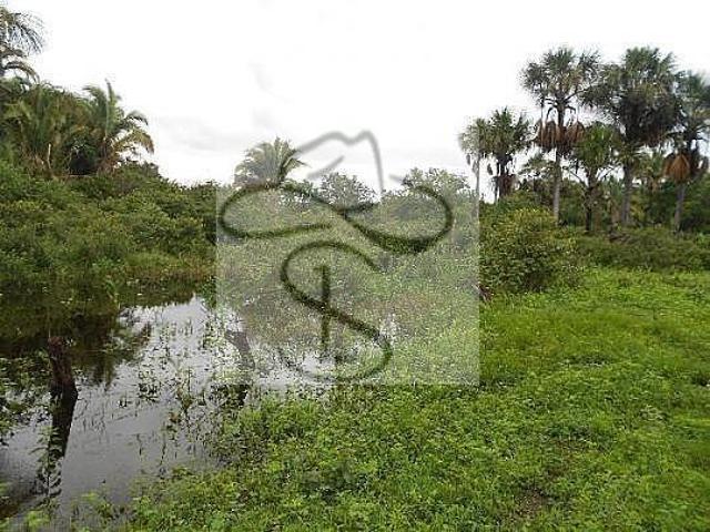 Sítio e chácara venda em Região Geográfica Imediata de Januária, Bonito de Minas