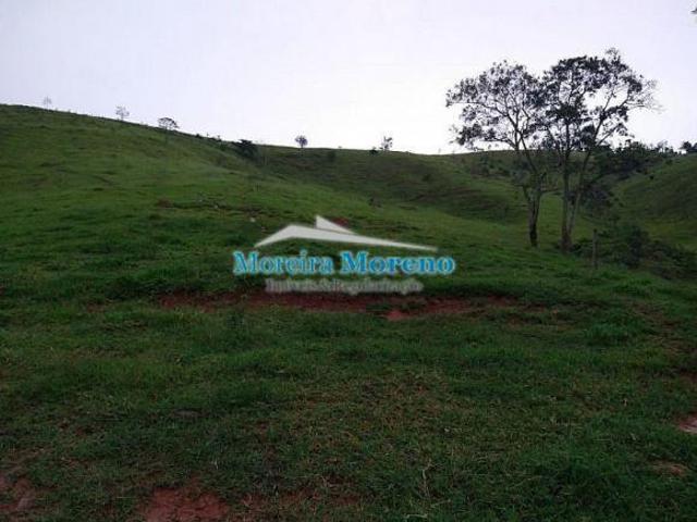 Sítio e chácara venda em Borda da Mata, Região Geográfica Intermediária de Pouso Alegre