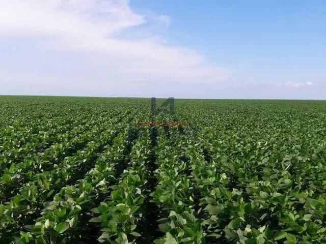 Sítio e chácara venda em Região Geográfica Imediata de São Luiz Gonzaga, Bossoroca