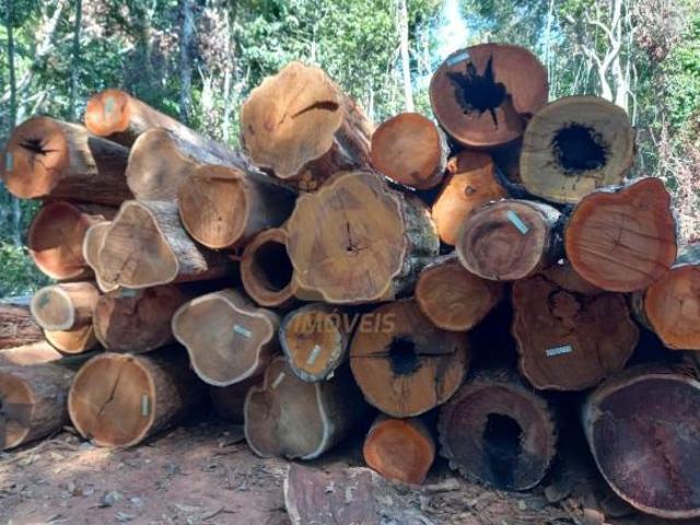 Sítio e chácara venda em Região Geográfica Imediata de Tangará da Serra, Brasnorte