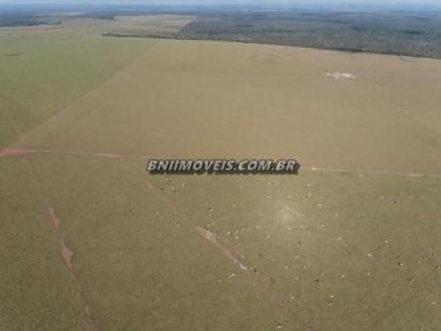 Sítio e chácara venda em Região Geográfica Imediata de Tangará da Serra, Brasnorte