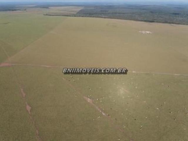 Sítio e chácara venda em Região Geográfica Imediata de Tangará da Serra, Brasnorte