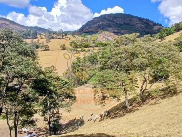 Sítio e chácara venda em Região Geográfica Imediata de Itajubá, Região Sudeste