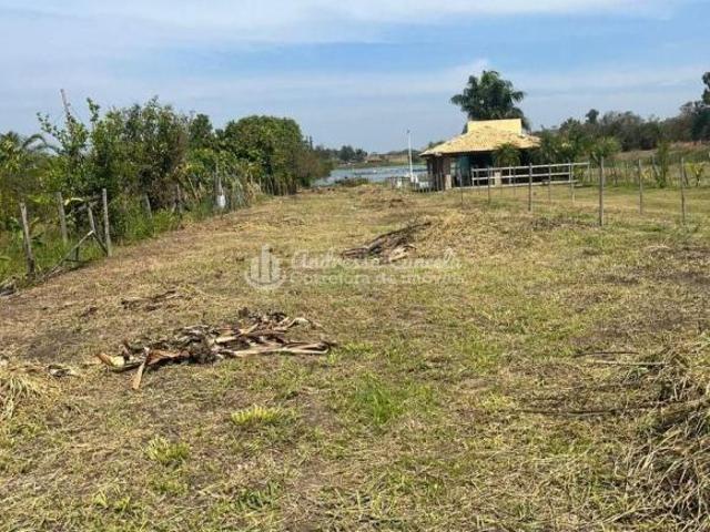 Sítio e chácara venda em Zacarias
