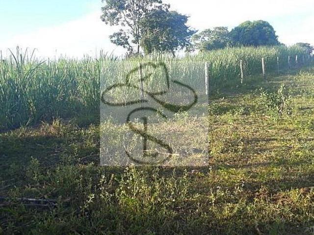Sítio e chácara venda em Região Geográfica Imediata de Pirapora, Buritizeiro