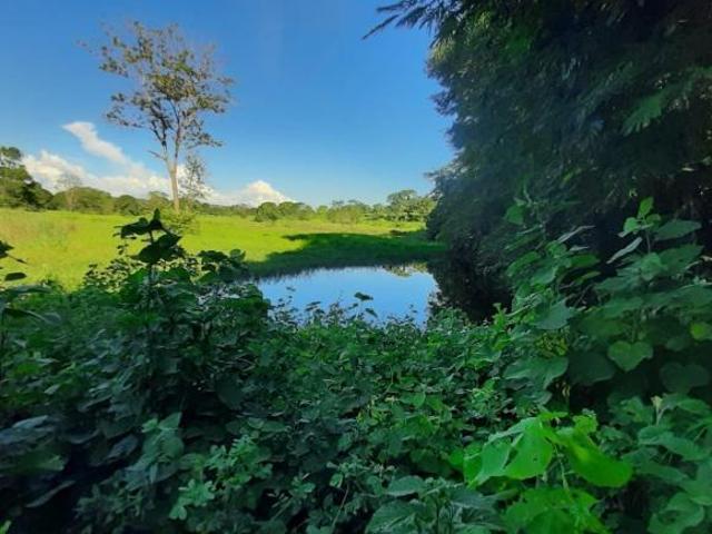 Sítio e chácara venda em Vila Lucídia, Buritizeiro